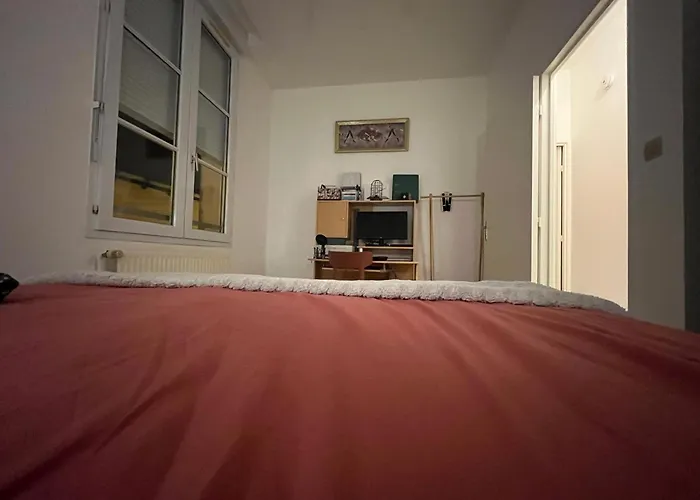 Super T3 - Hypercentre Ralliement Апартаменты Анже